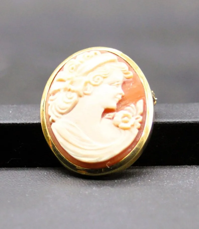 Pamono Cameo Brooch and Pendant in Shell and Gold> Brooches