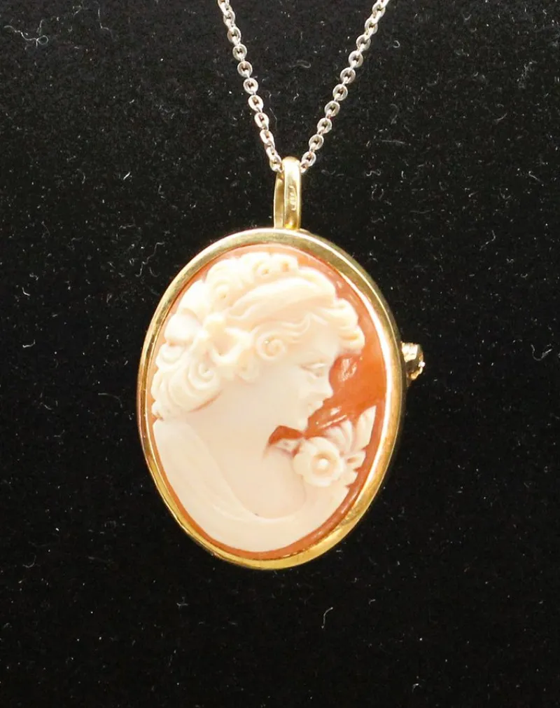 Pamono Cameo Brooch and Pendant in Shell and Gold> Brooches