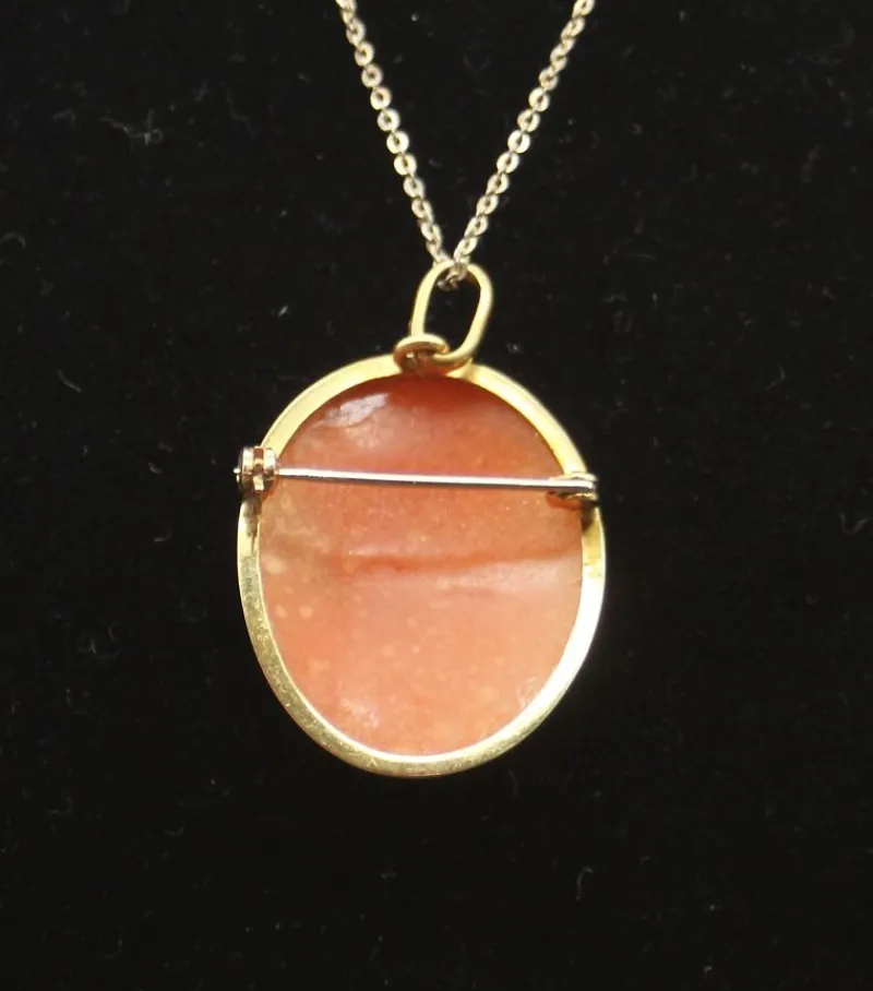 Pamono Cameo Brooch and Pendant in Shell and Gold> Brooches