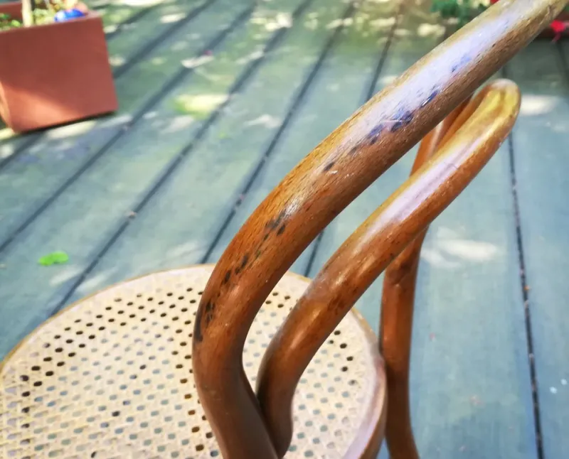 Clearance Pamono Caned Bistro Children's Chair by J.J. Kohn, 1900s