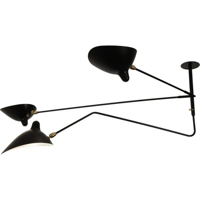 Hot Pamono Ceiling Lamp with 2 Still Arms and 1 Rotating Curved by Serge Mouille