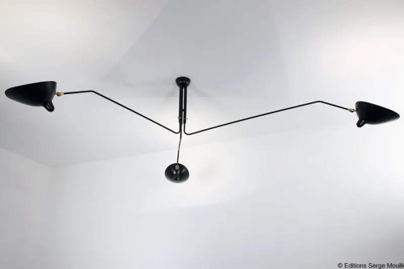 Hot Pamono Ceiling Lamp with 2 Still Arms and 1 Rotating Curved by Serge Mouille