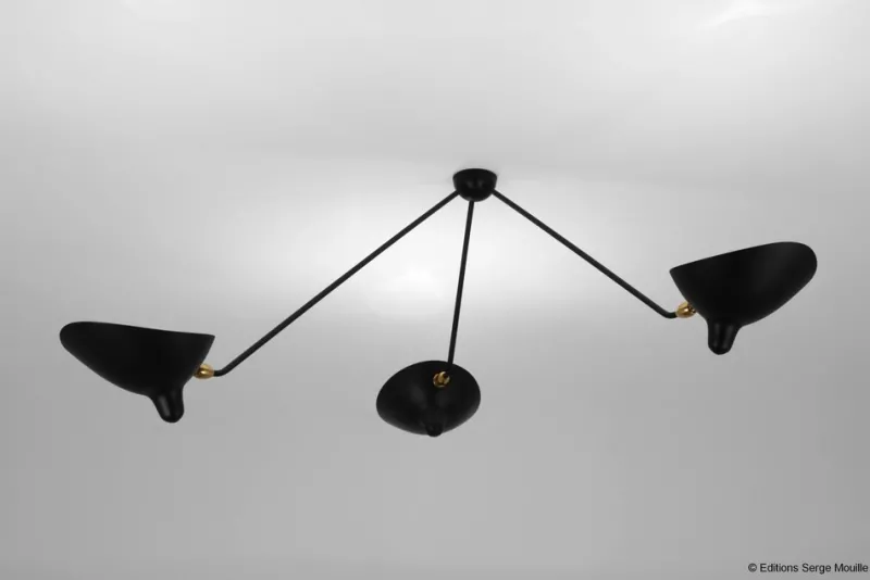Hot Pamono Ceiling Lamp with 2 Still Arms and 1 Rotating Curved by Serge Mouille