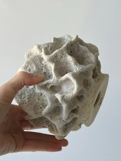 Pamono Ceramic Coral Sculpture by N'atelier Ceramics><noscript><img width=