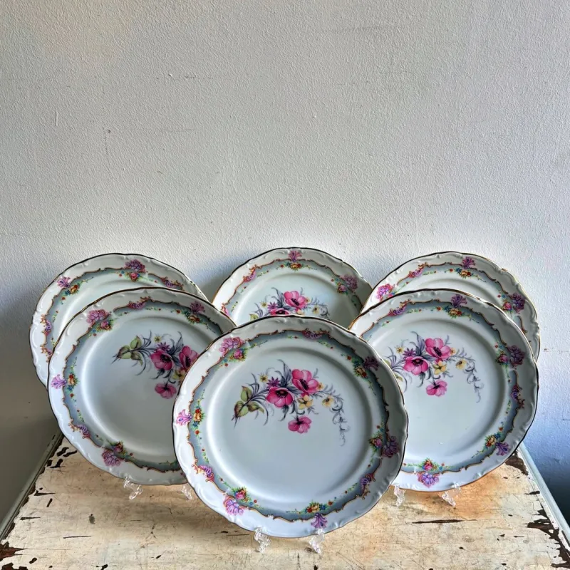 Hot Pamono Ceramic Dinner Plates from Limoges, 1970s, Set of 6
