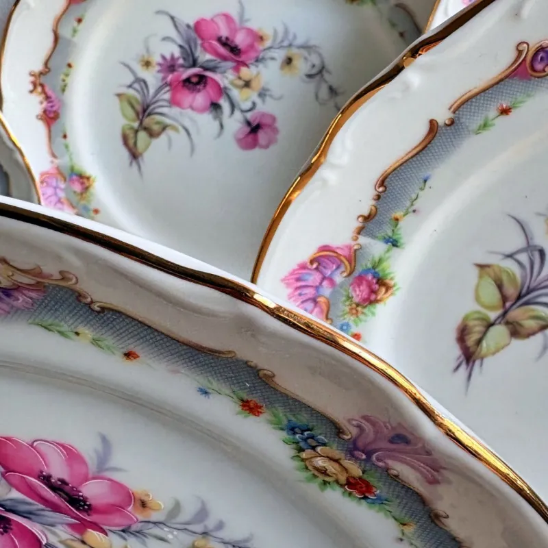 Hot Pamono Ceramic Dinner Plates from Limoges, 1970s, Set of 6