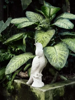 Pamono Ceramic Parrot by Botteganove><noscript><img width=