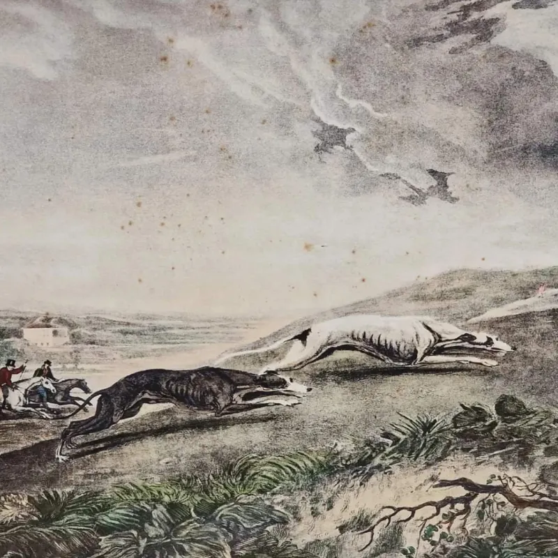 Pamono Charles Turner, English Hare Hunting Scenes with Greyhounds, 1890, Watercolor Prints, Set of 4> Classical