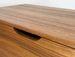 Pamono Chest in Teak with Wheels from Salin Møbler, Denmark, 1960s