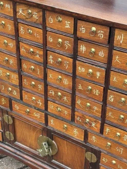 Clearance Pamono Chinese Apothecary Cabinet in Brass