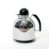 Best Pamono Chrome Thermos from Guzzini, 1990s