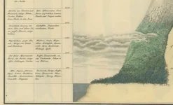 Sale Pamono Cinchona Bark Varieties A Hand-Colored Illustrated Botanical Atlas, 1826