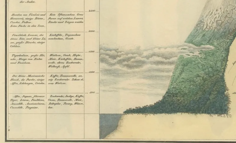 Sale Pamono Cinchona Bark Varieties A Hand-Colored Illustrated Botanical Atlas, 1826