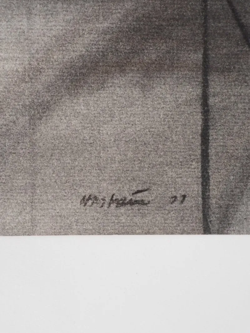 Pamono Claude Hastaire, Sommet I, Original Pastel