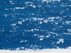 Pamono Coastal Blue Cyanotype of Day Time Seascape Nautical Painting Shore, 2020><noscript><img width=