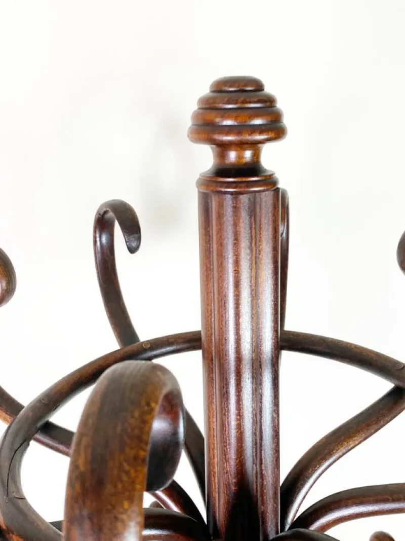 Pamono Coat Hanger by Michael Thonet for Thonet, 1880> Racks, Hooks & Valets