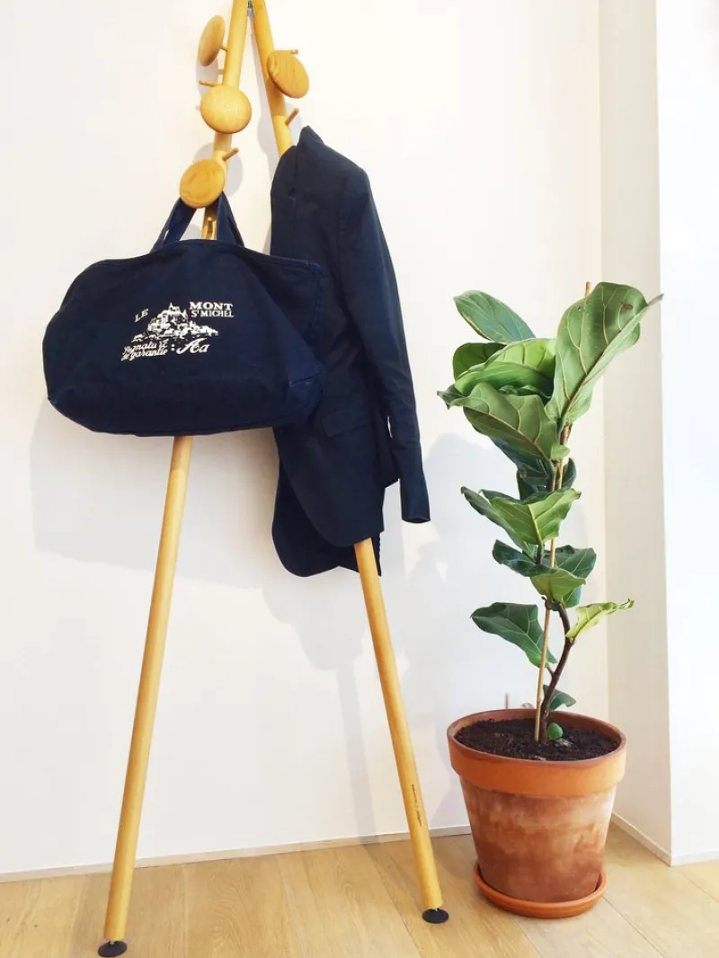 Pamono Coat Rack by Studio Ventotto for Adentro, 2018> Racks, Hooks & Valets
