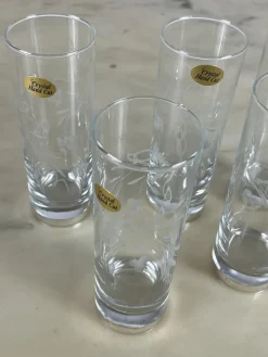 Best Pamono Crystal and Silver Glasses, 1970s, Set of 6