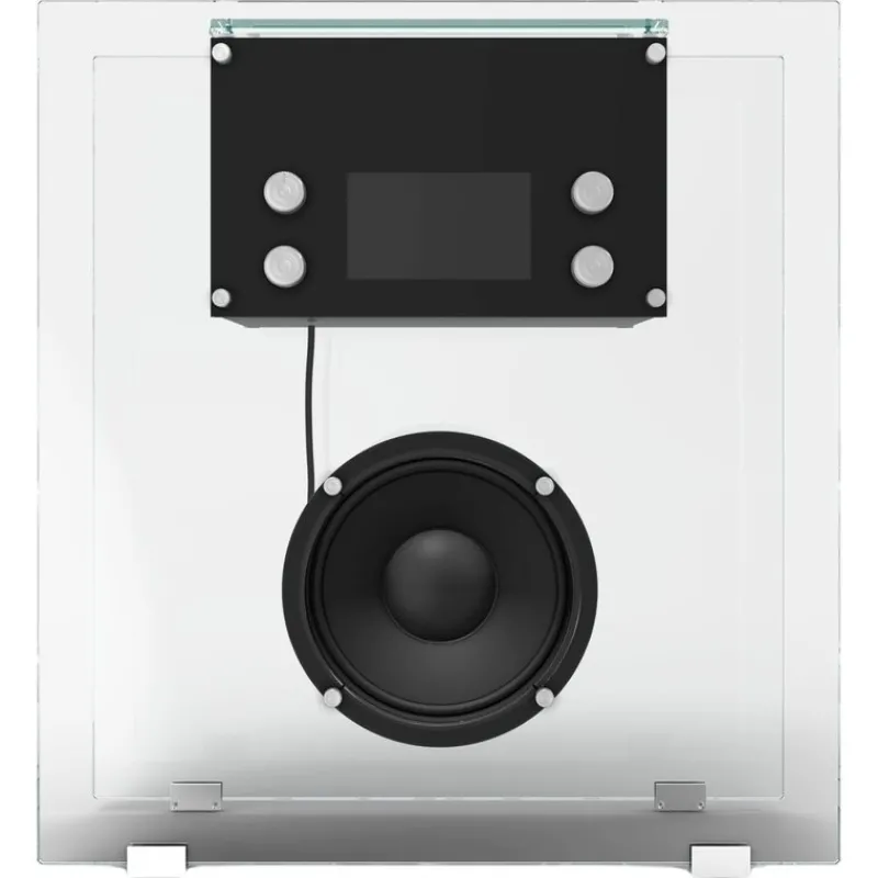 Hot Pamono Crystal Radio by Franco Albini for Cassina