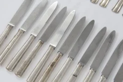 Pamono Cutlery by Gio Ponti for Krupp, Milan, 1950s, Set of 48><noscript><img width=