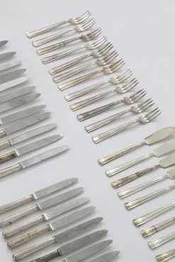 Pamono Cutlery by Gio Ponti for Krupp, Milan, 1950s, Set of 48><noscript><img width=