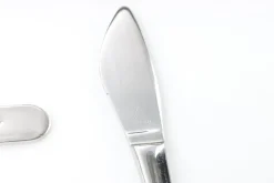 Pamono Cutlery Service by Sehersind for Wellner, 1950s, Set of 75><noscript><img width=