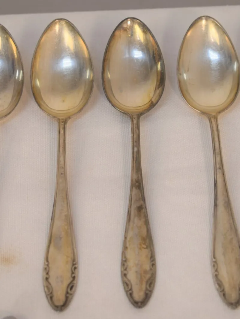 Pamono Cutlery Service for Six People from Krupp Berndorf, 1950s, Set of 18> Dinnerware Accessories