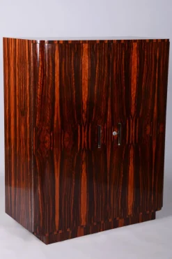 Online Pamono Czech Bauhaus Wardrobe in Maple and Macassar Ebony, 1920s