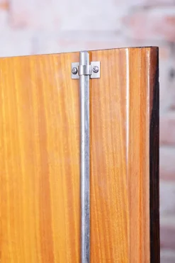Online Pamono Czech Bauhaus Wardrobe in Maple and Macassar Ebony, 1920s