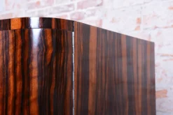 Online Pamono Czech Bauhaus Wardrobe in Maple and Macassar Ebony, 1920s