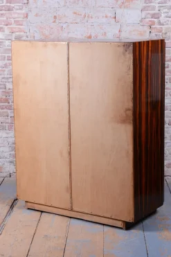 Online Pamono Czech Bauhaus Wardrobe in Maple and Macassar Ebony, 1920s
