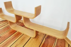 Sale Pamono Czechoslovak Plywood Shelf by Ludvik Volak for Drevopodnik Holesov, 1960s