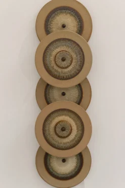 Hot Pamono Danish Ceramic Five Disc Wall Lamp from Søholm, 1970s