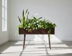 Pamono Danish Rosewood Planter Box, 1960s> Planters And Jardiniere