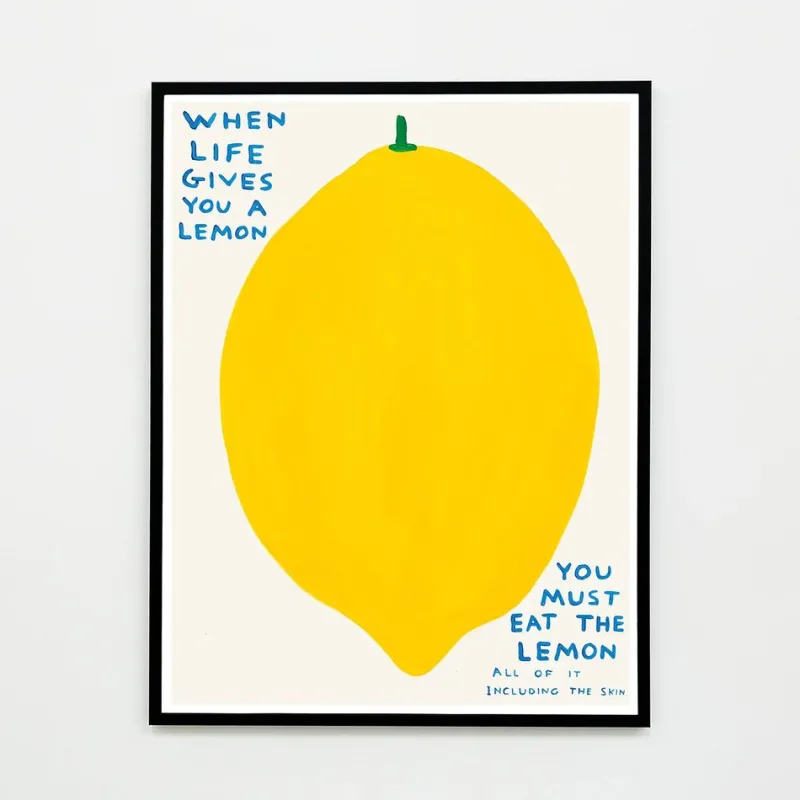 Pamono David Shrigley, When Life Gives You a Lemon, 2021, Lithograph Poster, Framed> Wall Decor|Posters