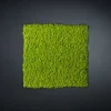 Sale Pamono Dehydrated Plant Wall Stabilized Lichene Flat Work May from VGnewtrend