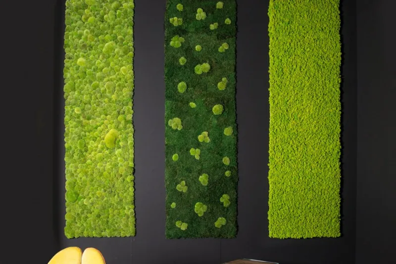 Sale Pamono Dehydrated Plant Wall Stabilized Lichene Flat Work May from VGnewtrend