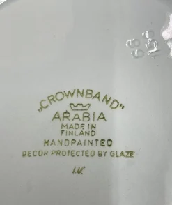 Best Pamono Dinner Service Kronenband from Arabia of Finland, 1960s, Set of 127