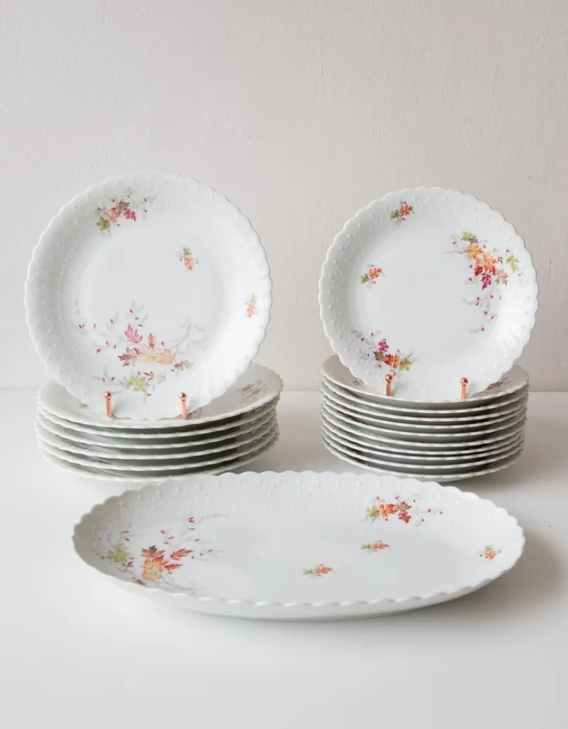 Discount Pamono Dishes and Source from Limoges, 1950s, Set of 19
