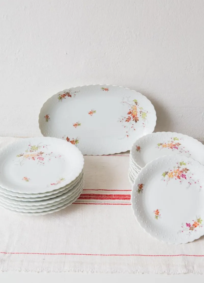 Discount Pamono Dishes and Source from Limoges, 1950s, Set of 19