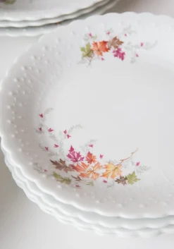 Discount Pamono Dishes and Source from Limoges, 1950s, Set of 19