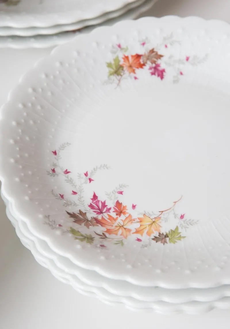 Discount Pamono Dishes and Source from Limoges, 1950s, Set of 19