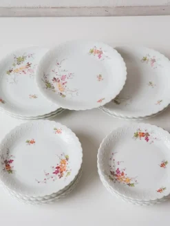Discount Pamono Dishes and Source from Limoges, 1950s, Set of 19