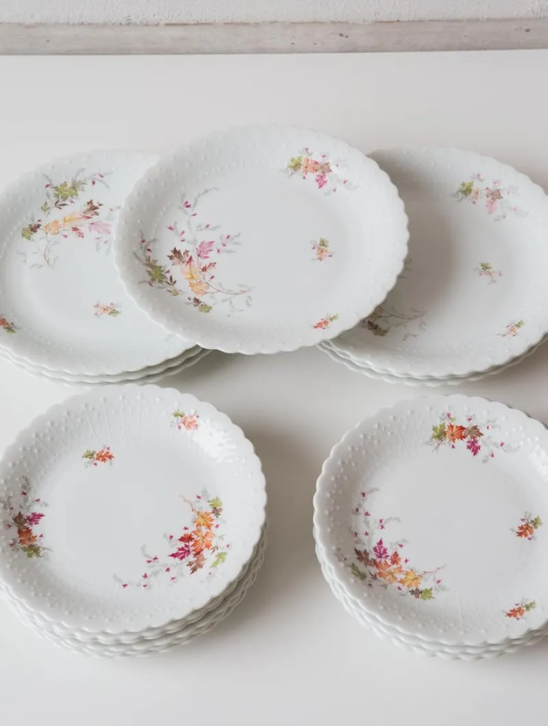 Discount Pamono Dishes and Source from Limoges, 1950s, Set of 19