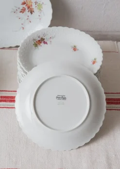 Discount Pamono Dishes and Source from Limoges, 1950s, Set of 19