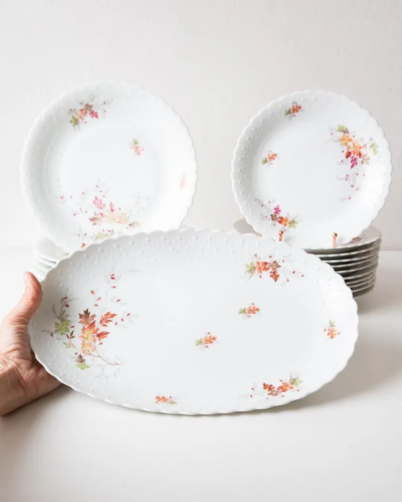 Discount Pamono Dishes and Source from Limoges, 1950s, Set of 19