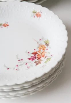 Discount Pamono Dishes and Source from Limoges, 1950s, Set of 19
