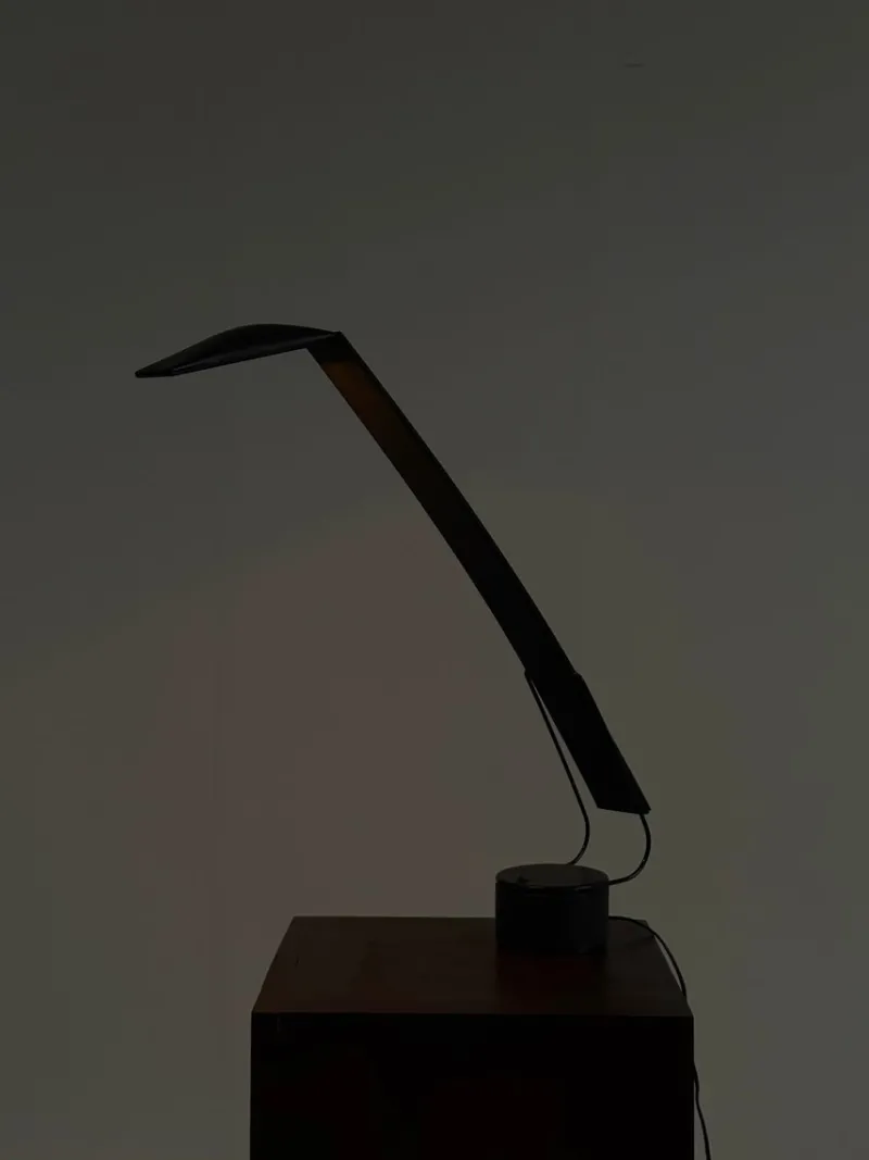 Clearance Pamono Dove Desk Lamp in Black by Marco Colombo & Mario Barbaglia for PAF Studio