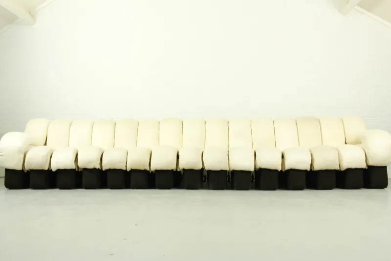 Pamono DS-600 Non Stop Sofa DS-600 with 15 Elements attributed to Eleonore Peduzzi Riva for de Sede, Switzerland, 1970s, Set of 15> Living Room Sets