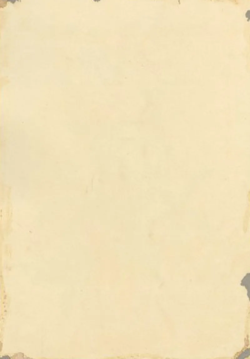 Pamono E.B.R, Cinquefoils (Potentilla) Flower, 1834, Watercolour